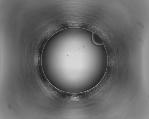 X0000113160647200909041256