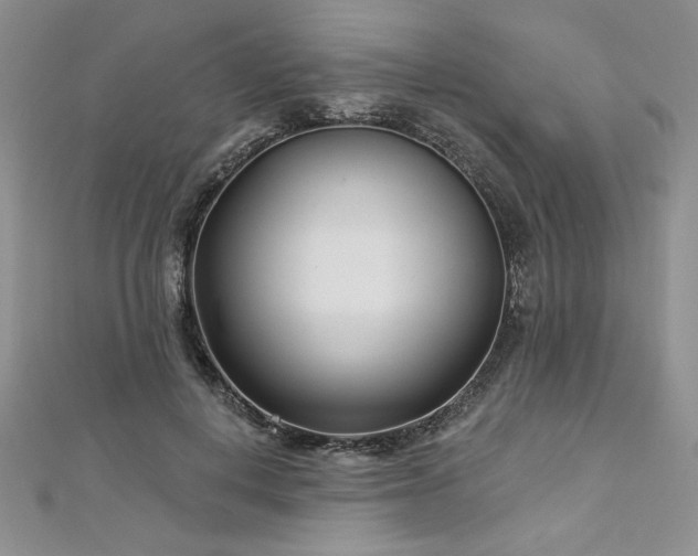 X0000113160648200909041256