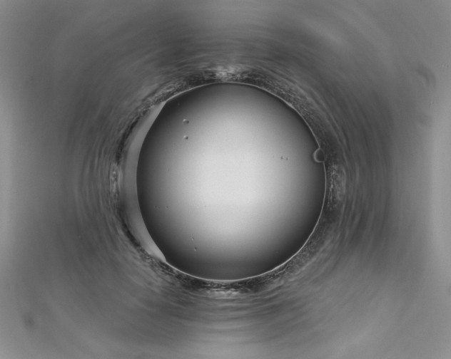 X0000113160650200909041256