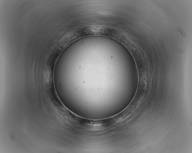 X0000113160651200909041256