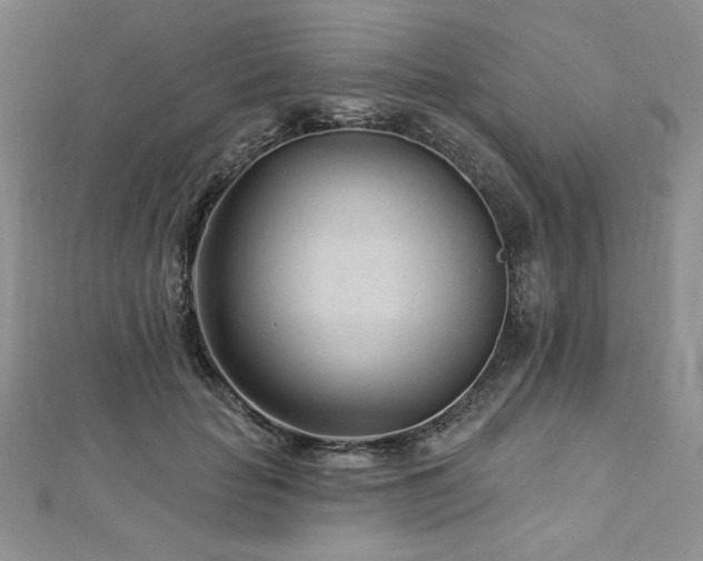 X0000113160653200909041256