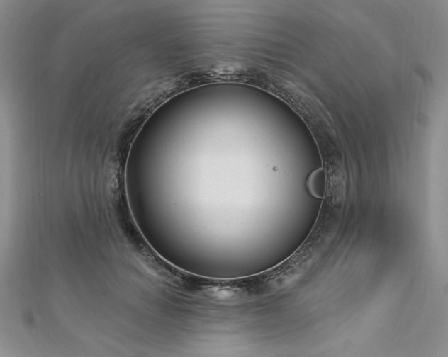 X0000113160654200909041256