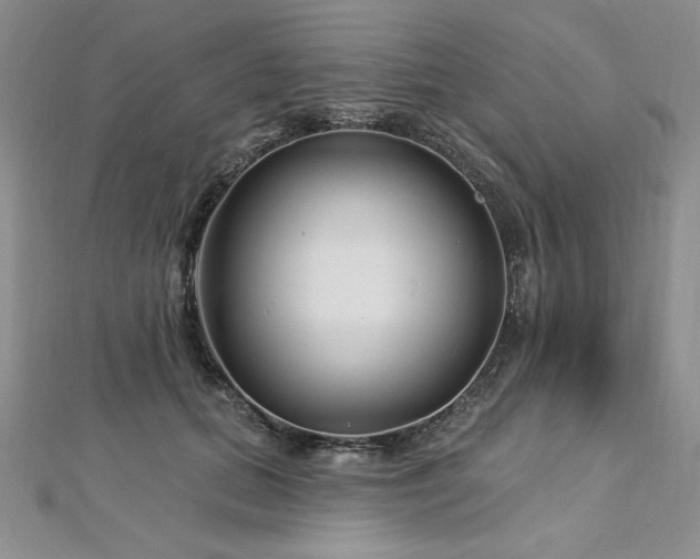 X0000113160655200909041256