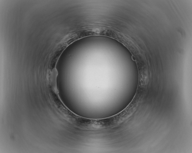 X0000113160656200909041256