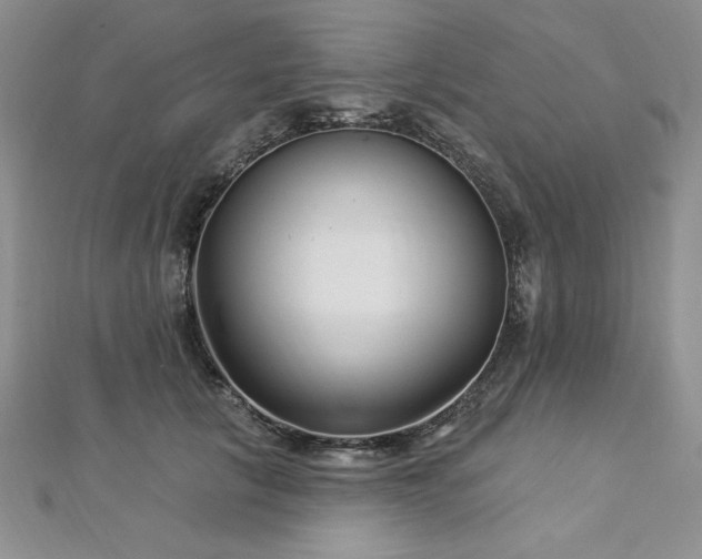 X0000113160657200909041256