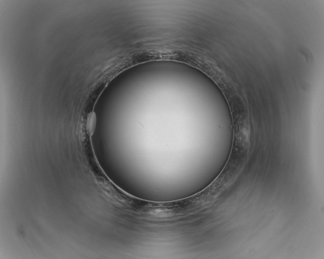 X0000113160658200909041256