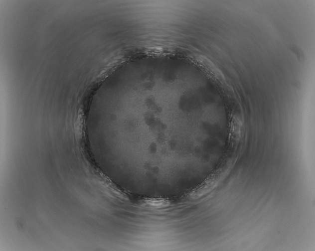 X0000113160659200909041256