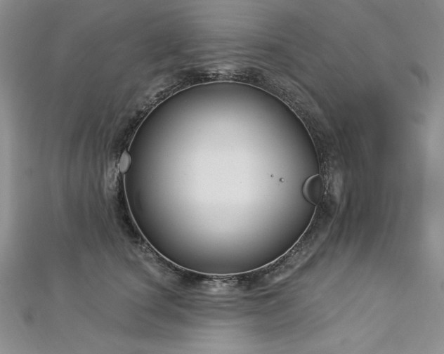X0000113160660200909041256