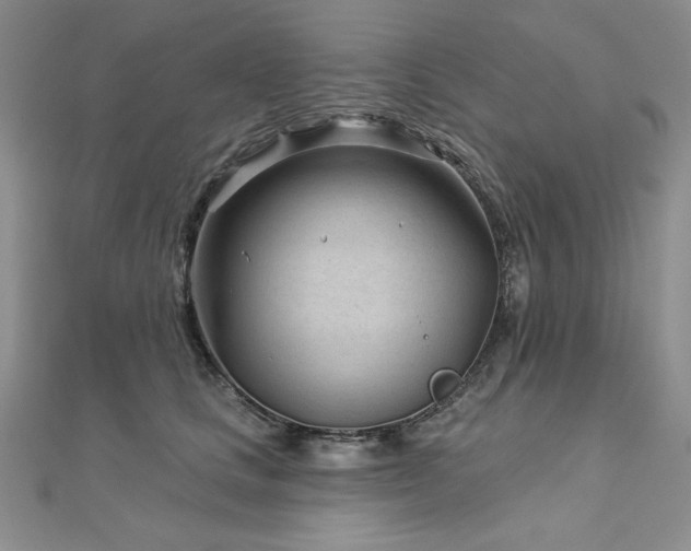 X0000113160661200909041256