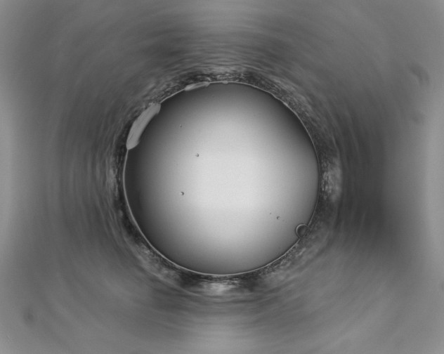 X0000113160662200909041256