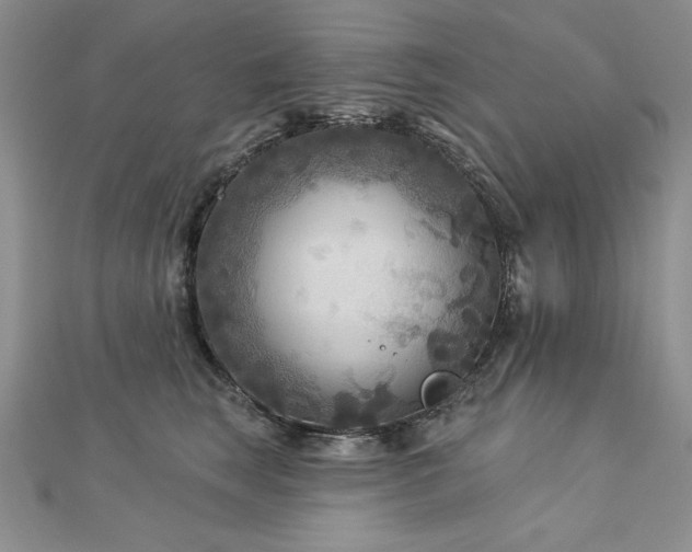 X0000113160663200909041257
