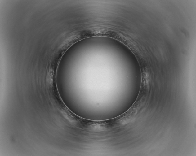 X0000113160664200909041257