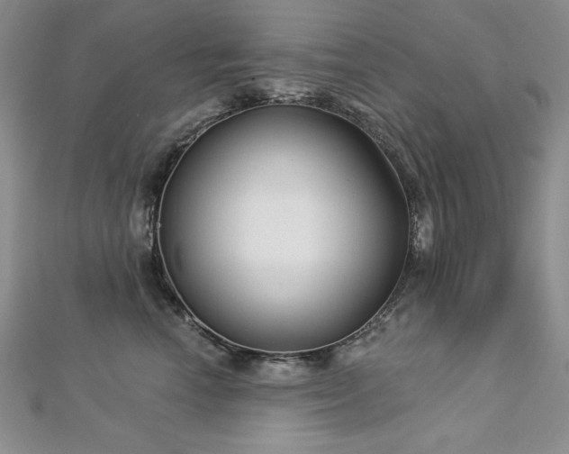 X0000113160666200909041257