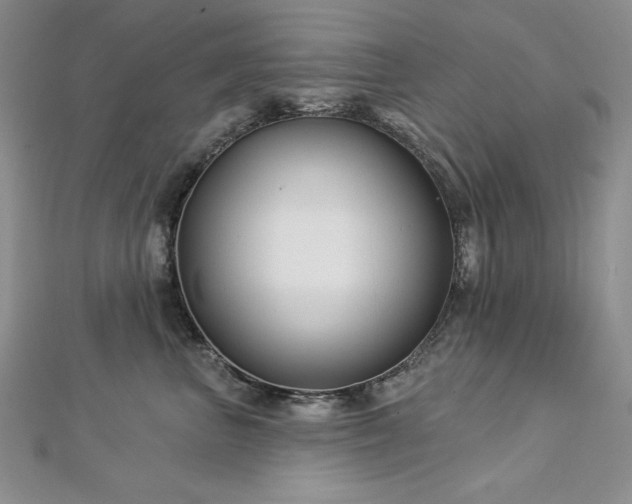 X0000113160667200909041257