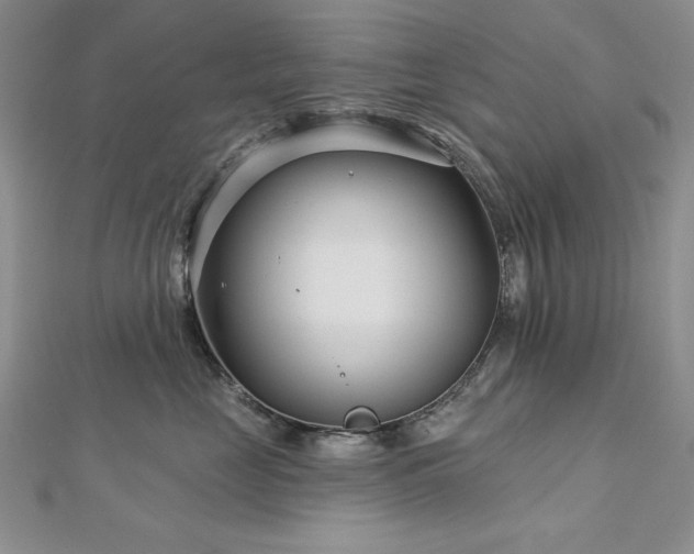 X0000113160669200909041257
