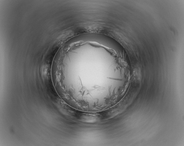X0000113160671200909041257