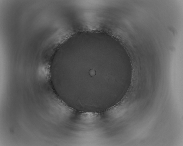 X0000113160672200909041257