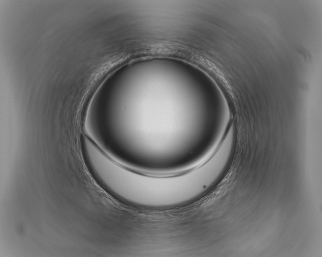 X0000113160673200909041256