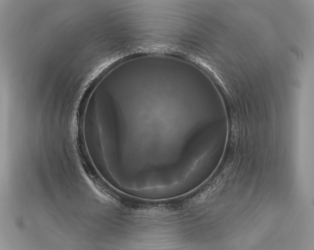 X0000113160674200909041256