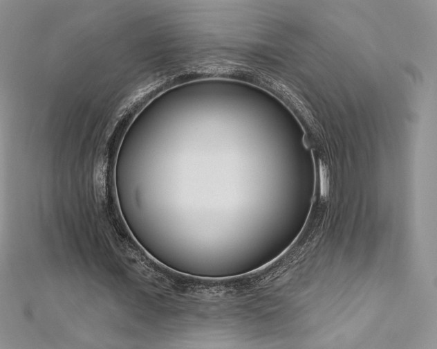 X0000113160675200909041256