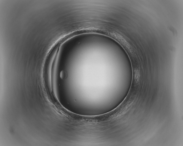 X0000113160676200909041256