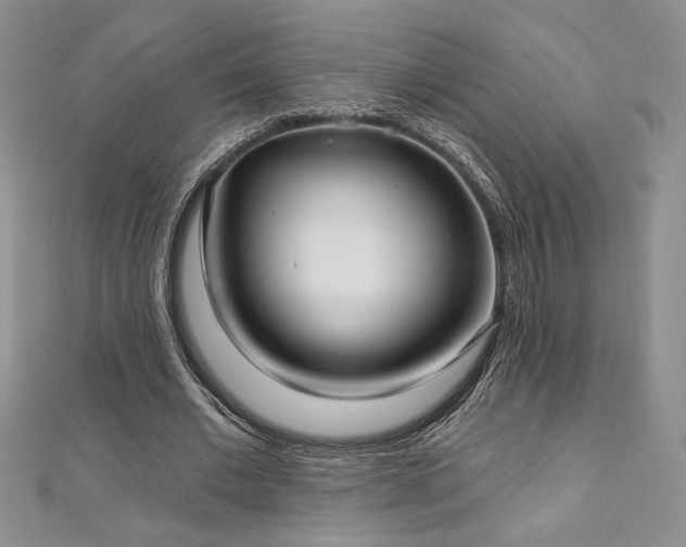 X0000113160677200909041256