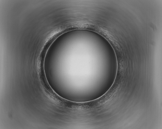 X0000113160679200909041256