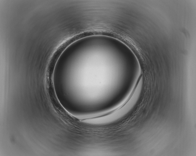 X0000113160680200909041256