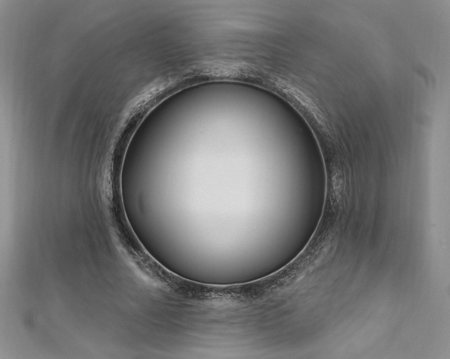 X0000113160682200909041256
