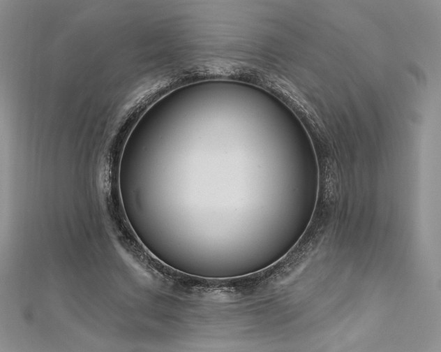 X0000113160683200909041256