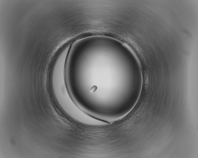 X0000113160684200909041256