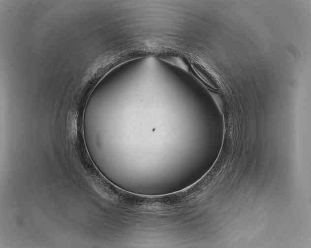 X0000113160685200909041256