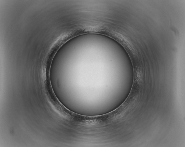 X0000113160686200909041256