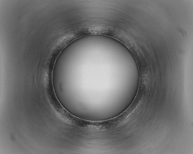 X0000113160690200909041256