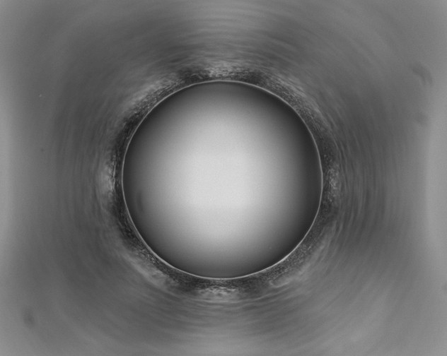 X0000113160691200909041256