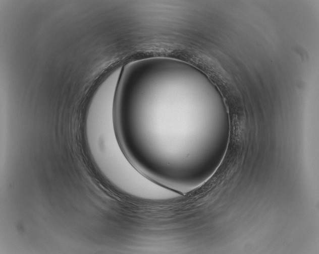 X0000113160692200909041256