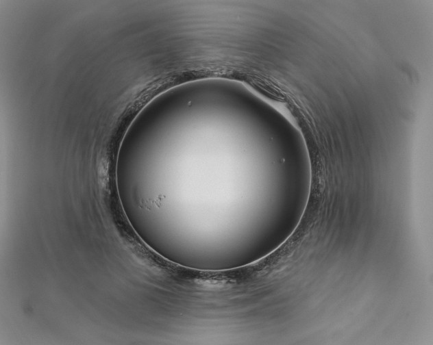X0000113160693200909041256