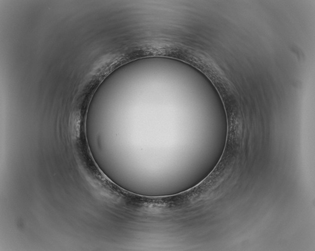 X0000113160694200909041256