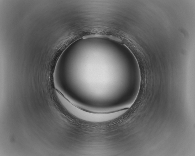X0000113160696200909041256