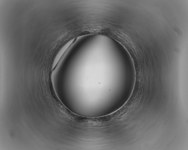 X0000113160697200909041256