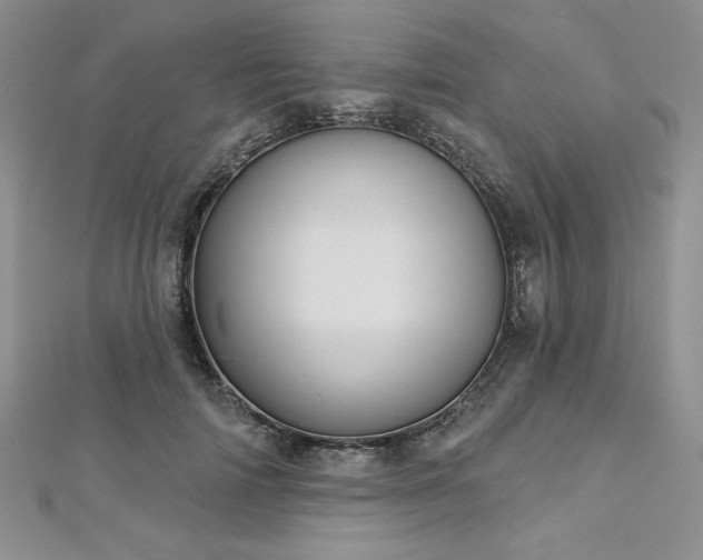 X0000113160698200909041256