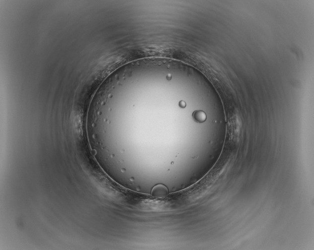 X0000113160699200909041256