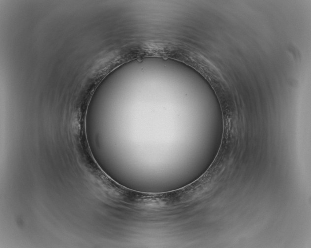 X0000113160702200909041255