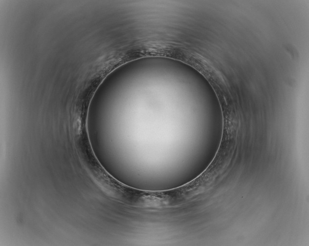 X0000113160703200909041255