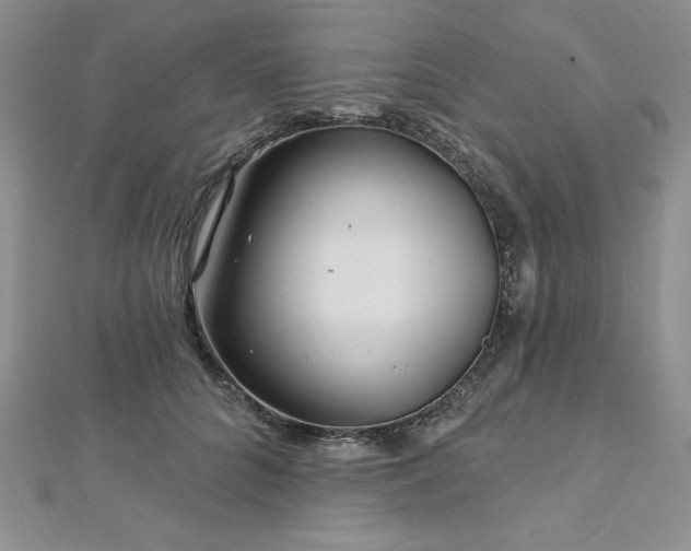 X0000113160704200909041255