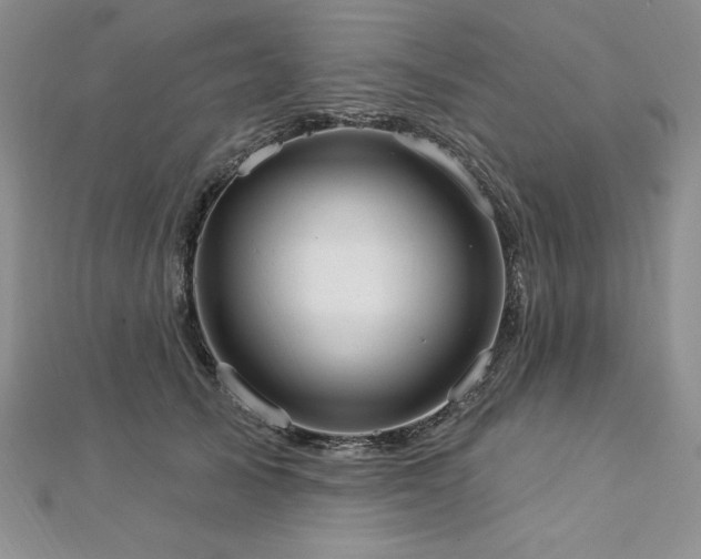 X0000113160705200909041255