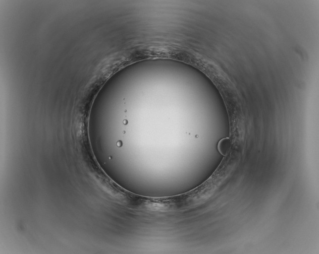 X0000113160706200909041255