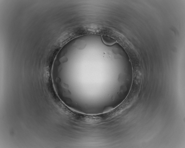 X0000113160707200909041255