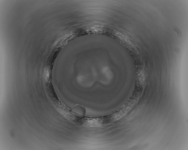 X0000113160709200909041255