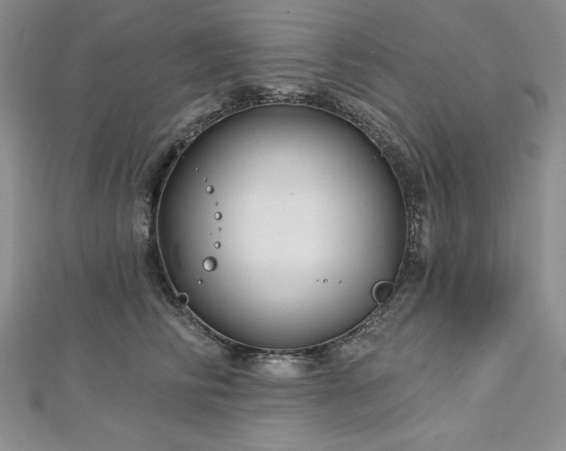 X0000113160710200909041255
